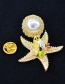 Fashion Gold Starfish Pearl Bird Brooch