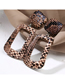 Fashion Dark Brown Round Leopard-print Geometric Snakeskin Earrings