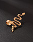 Fashion Gold Metal Snake Earrings