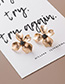 Fashion Gold  Silver Needle Matte Metal Three-dimensional Flower Earrings
