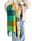 Fashion Green Thick Knit Tassel Shawl Long Bib