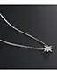 Fashion Silver  Silver Snowflake Zircon Necklace