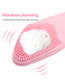 Fashion Pink Tongue Cleansing Instrument