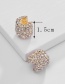 Fashion Black Copper Gemstone Diamond  Silver Stud Earrings