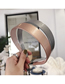 Fashion 2.5cm Champagne Snake Pattern Paint Plastic Toothed Anti-slip Plate Fine Side Headband