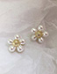 Fashion Gold ( Silver Needle) Pearl  Silver Needle Flower Earrings