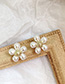 Fashion Gold ( Silver Needle) Pearl  Silver Needle Flower Earrings