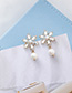 Fashion White  Silver Needle Snowflake Earrings