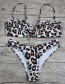 Fashion Gauze Leopard Print Split Swimsuit