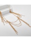 Gold Tassel Irregular Necklace