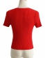 Fashion Red Zip Plaid Knitted T-shirt