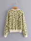 Fashion Green Leopard Mink Round Neck Knitted Sweater