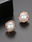 Fashion Rose Gold Pearl Copper Inlaid Zirconium  Silver Needle Earrings