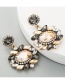 Brown Alloy Glass Rhinestone Flower Earrings