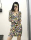 Fashion Color Flower Print V-neck Dress