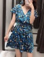 Fashion Blue Floral Print V-neck Pleated Dress