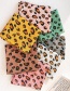 Fashion Khaki Leopard Print Scarf