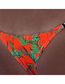 Fashion Red Three-point Feather-print Split Swimsuit
