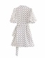 Fashion White Lantern Sleeve Coffee Dot Print Lace Dress