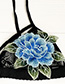 Fashion Black + Blue Lace Embroidered Flower Lingerie