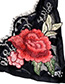 Fashion Black + Red Lace Embroidered Flowers Led Underwear