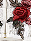 Fashion White + Red Lace Collar Embroidered Flowers And Even Underwear
