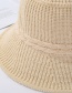 Fashion Coffee Color Milk Silk Knitted Hat