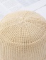 Fashion Coffee Color Milk Silk Knitted Hat
