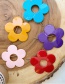 Fashion Floret-pink Resin Multiple Flower Geometry Hollow Hair Clip