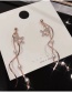 Fashion Golden Five Star Tassel Pearl Earrings