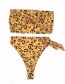 Fashion Dot Bandeau Leopard Dot High Waist Lace Up Swimsuit