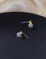 Fashion Golden  Silver Round Shell Stud Earrings