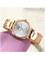Fashion Brown Surface Striped Quartz Steel Band Watch