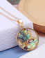 Fashion Golden Shell Round Alloy Necklace