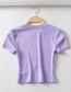 Fashion Purple Small Round Neck Slim T-shirt