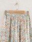 Fashion Photo Color Wrinkle-effect Floral Print Skirt
