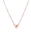 Fashion Steel Color-pisces (7mm) Love Carved Constellation Stainless Steel Clavicle Chain