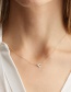 Fashion Golden-pisces (7mm) Love Carved Constellation Stainless Steel Clavicle Chain