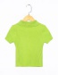 Fashion Green Lapel Knit T-shirt