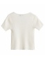 Fashion White Knitted Square Collar Short Sleeve T-shirt