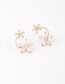 Fashion Golden  Silver Pin Zircon Flower Earrings