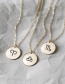 Fashion Steel Color-pisces Stainless Steel Round Hammer Engraved Constellation Necklace 13mm