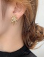 Fashion Golden Firework Micro-set Zircon Alloy Stud Earrings
