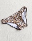 Fashion Color Leopard Tie Split Swimsuit