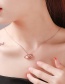 Fashion Rose Gold Scallop Stainless Steel Color Retaining Diamond Alloy Necklace