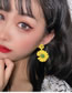 Orange Small Daisy Flower Contrast Earrings