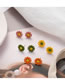 Orange Small Daisy Flowers Contrast Color Earrings