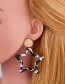 Fashion Beige Acetate Plate Geometric Pentagram Leopard Earrings