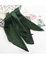 Fashion Pickled Vegetables Multifunctional Use Of Silk Scarf And Shawl