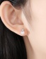 Fashion 18k Copper Inlay Zircon Pearl Stud Earrings